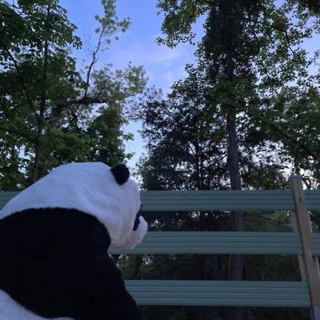 La Cabane Du Panda Abrest Exteriér fotografie
