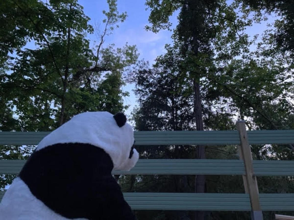 La Cabane Du Panda Abrest Exteriér fotografie